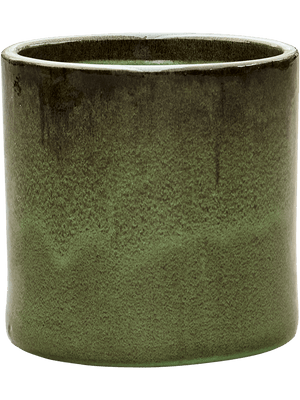 Areca Palm — Cylinder Pot Green