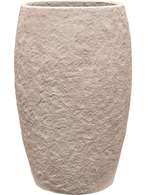 Monstera deliciosa — Coast Mountains Khaki