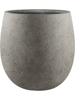 Strelitzia nicolai — Grigio Balloon Natural Concrete