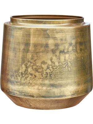 Calathea Medallion — Indigo Pot Vintage Gold