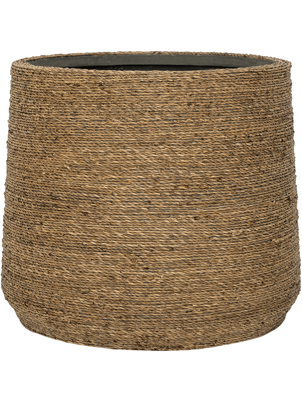 Bohemian Patt