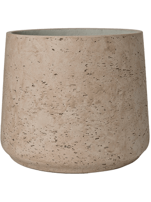 Kentia Palm — Rough Patt Grey Washed