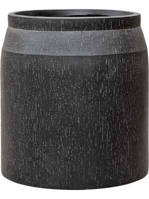 Alocasia Wentii — Baq Raindrop Anthracite