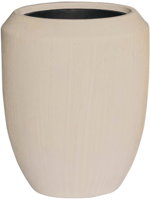Dracaena deremensis 'Warneckei' in Baq Polystone Coated